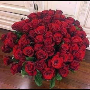 Meet your Posher, Jacqueline